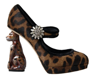 Dolce &amp; Gabbana Elegant Leopard Heel Pumps for Chic Sophistication