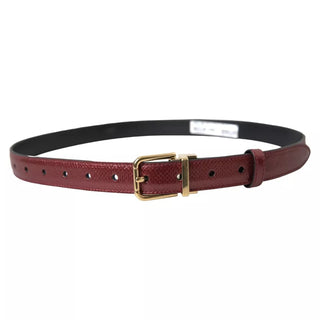 Dolce &amp; Gabbana Maroon Leather Gold Metal Buckle Men Belt