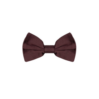 Dolce & Gabbana Burgundy Silk Bowty