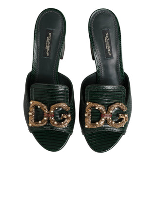 Dolce & Gabbana Green DG Amore Heel Slides Sandals Shoes