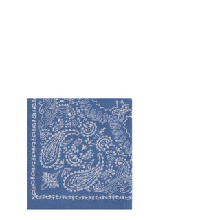 Destin Blue Cashmere Scarf